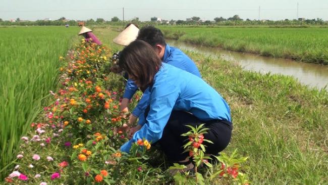 HỌ TÔ THÔN NGHĨA, TÂY LƯƠNG, TIỀN HẢI, TỈNH HƯNG YÊN